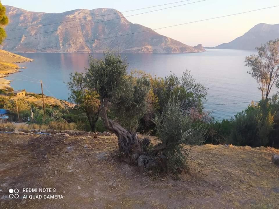 The Traditional House-Skalia,Kalymnos Exterior foto