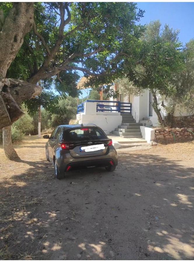 The Traditional House-Skalia,Kalymnos Exterior foto